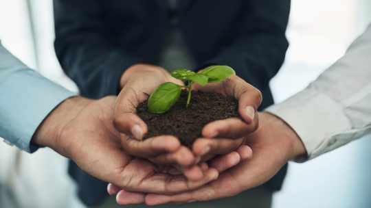 Flexibla abonnemang som växer med ditt företag